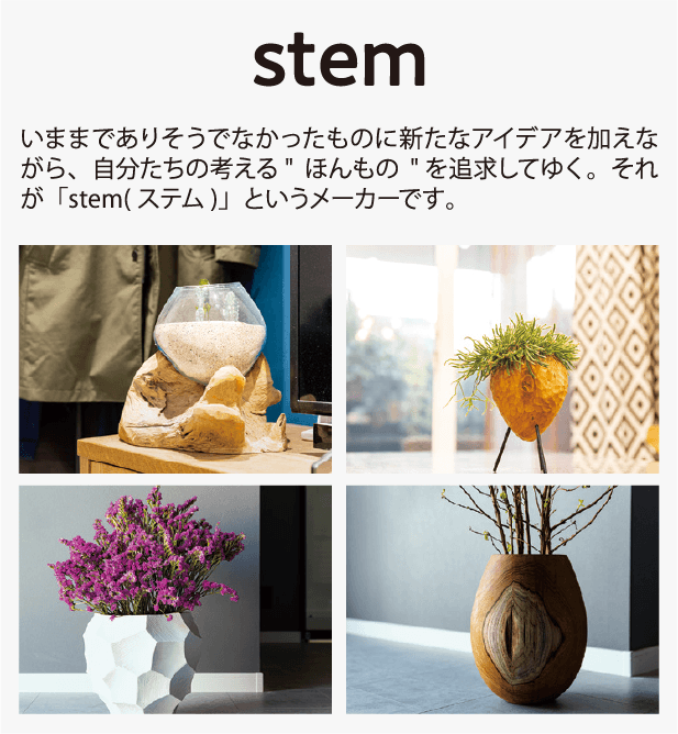 stem